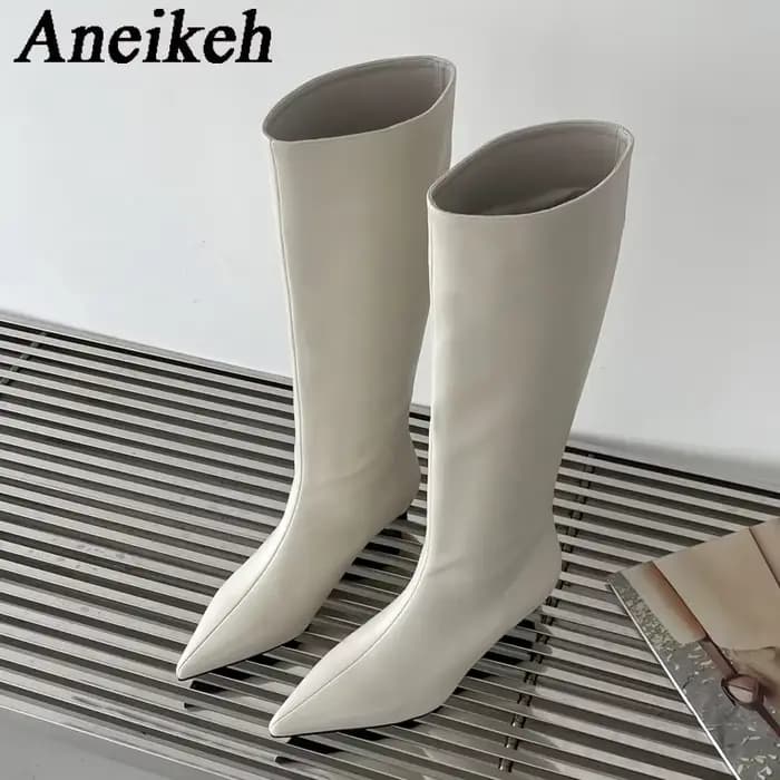 Aneikeh 2026 mode Sexy pointu talons bas genou bottes longues femmes printemps/automne PU couture fê