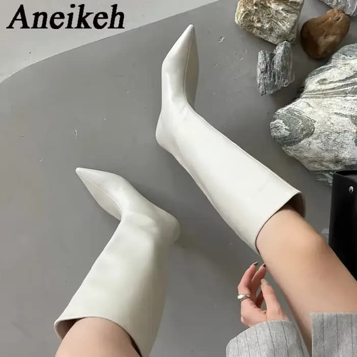 Aneikeh 2026 mode Sexy pointu talons bas genou bottes longues femmes printemps/automne PU couture fê
