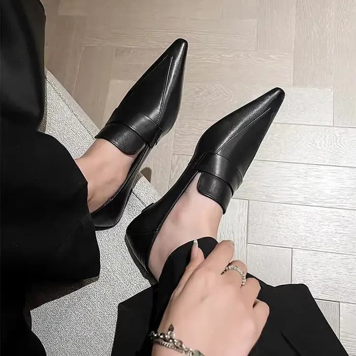 Chaussures à talons et bout pointu pour femmes