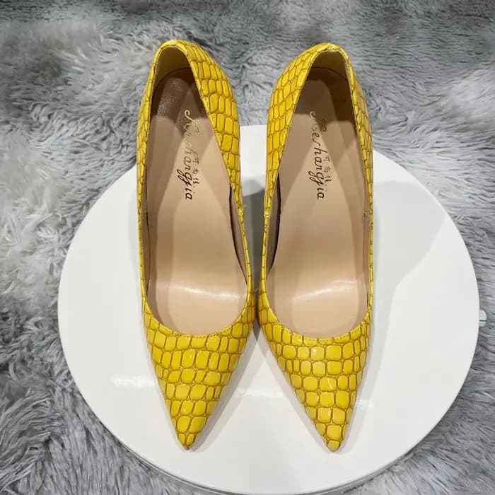 Talons hauts pointus pour femmes